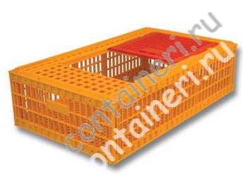 �311 ���� ��� ��������� ����� ����� 970�580�270